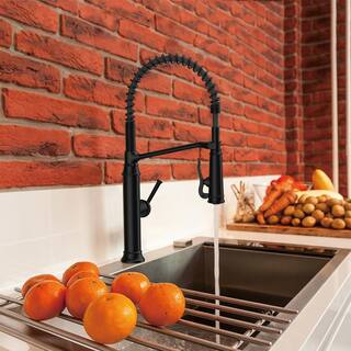 Glacier Bay Linscott Single-Handle Coil Springneck Pull-Down Sprayer Kitchen Faucet in Matte Black FP1B4202BL