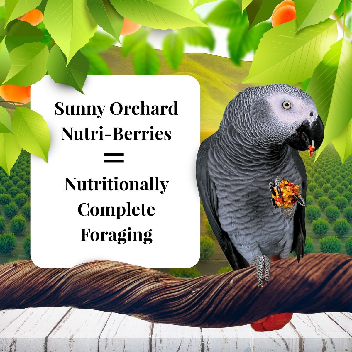 Lafeber Sunny Orchard Nutri-Berries Parrot Food