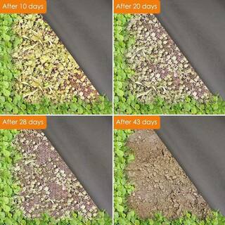 Agfabric 3 ft. x 50 ft. Landscape Fabric Weed Barrier for Weeds Block in Raised Garden Bed W1WB1503050