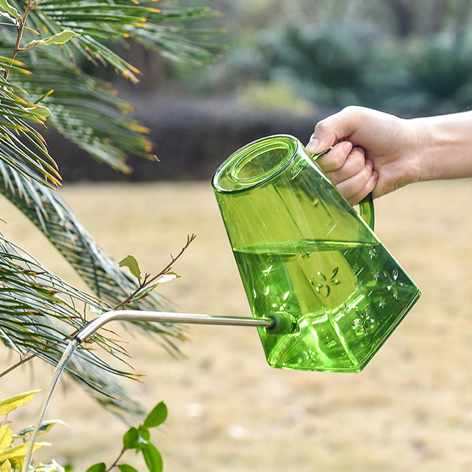 Watering Indoor Plants with Stainless Detachable Long Small 1.4L Small Watering Cans for Succulents/Houseplants/Gardening - Green