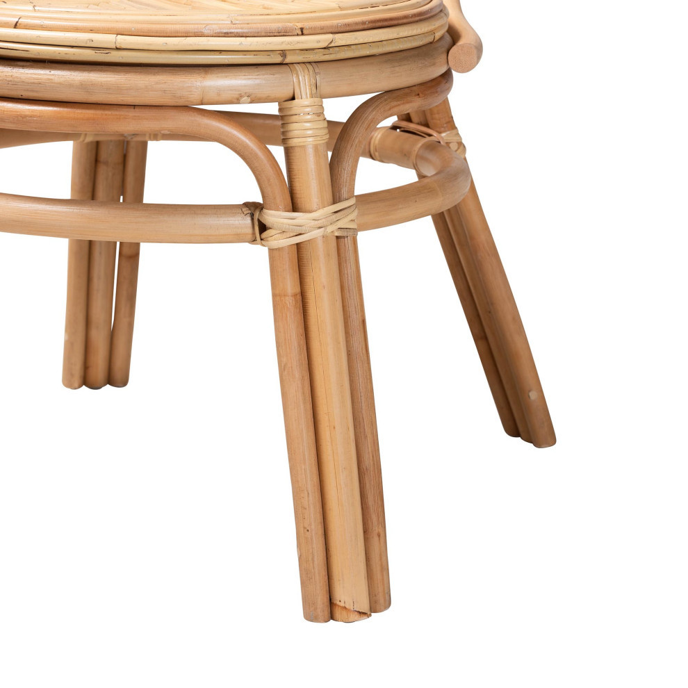 Vina Natural Brown Rattan Dining Chair   Beach Style   Dining Chairs   by Baxton Studio  Houzz