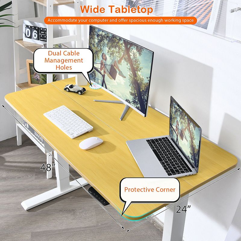 48 Inches Electric Standing Adjustable Desk with Control Panel and USB Port