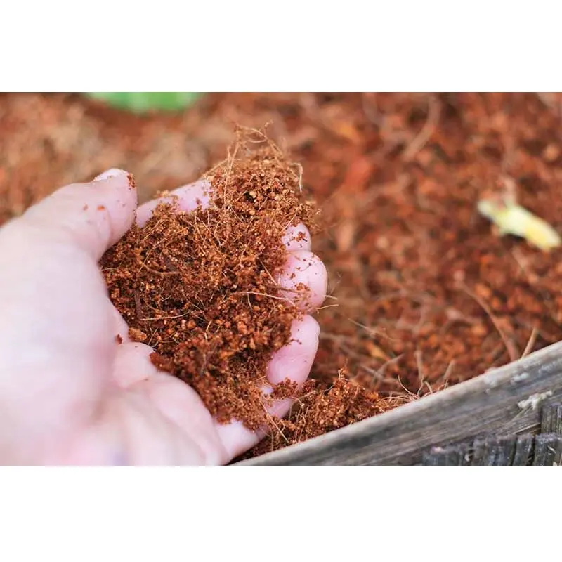 Garden Supplies Light Brown Organic Cocopeat for Growing plant With Size 30 x 30 x 15cm Made in Vietnam