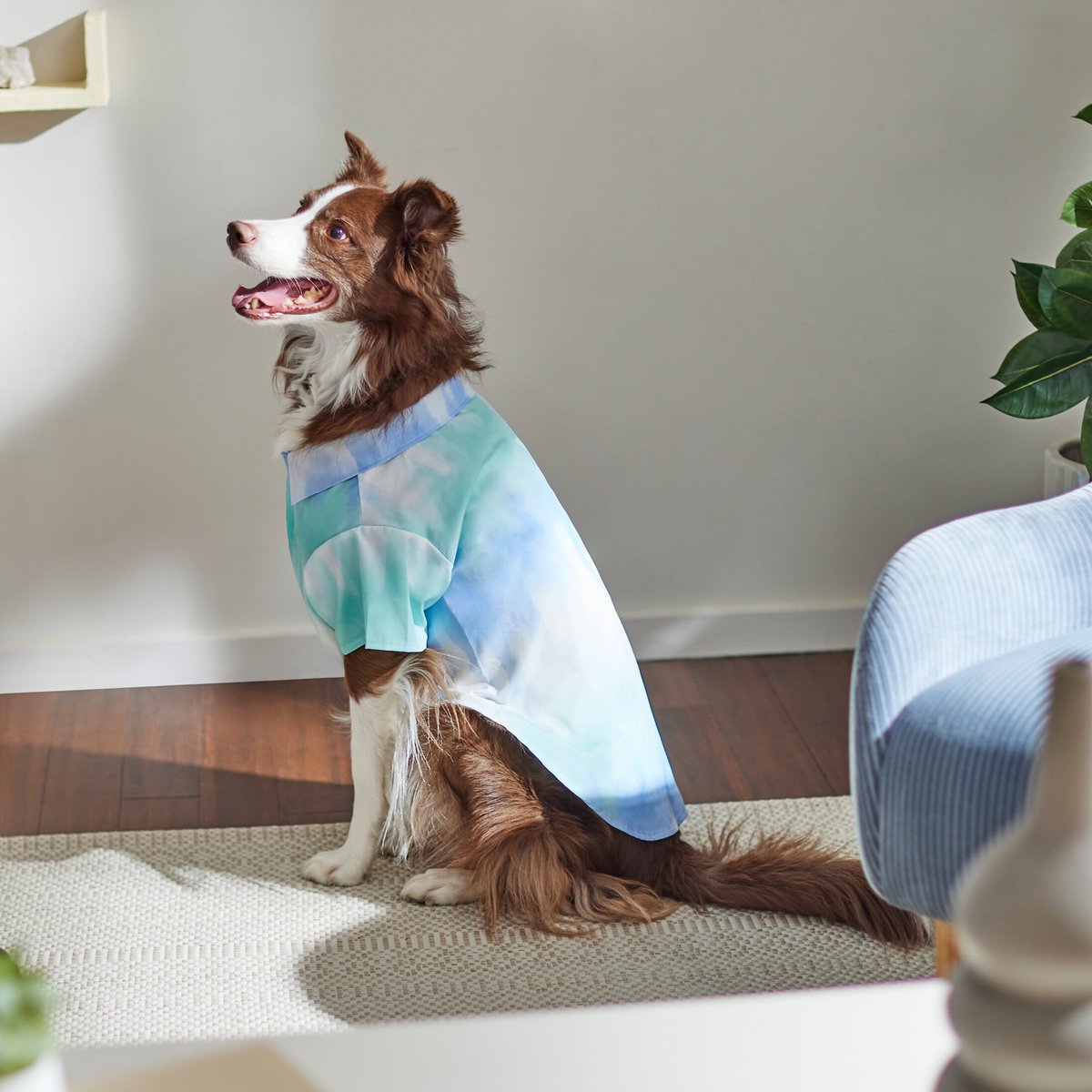 Frisco Blue Tie Dye Dog and Cat Shirt