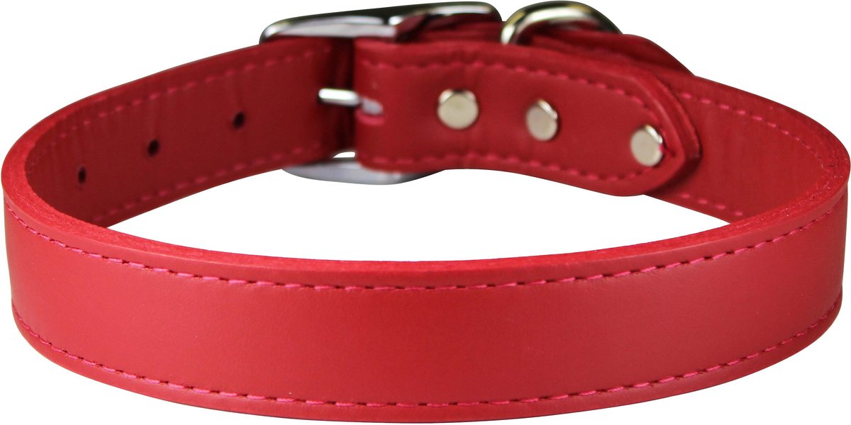 OmniPet Signature Leather Dog Collar