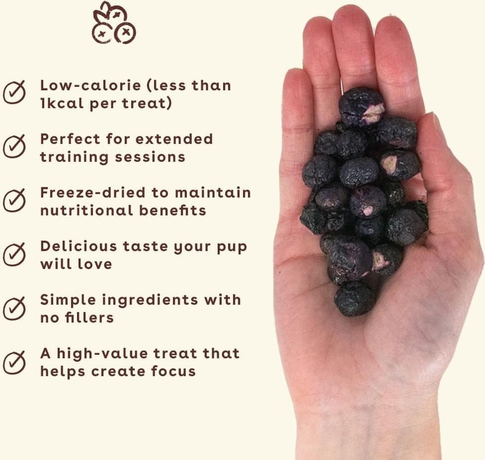 Pupford Freeze Dried Blueberry Dog Training Treats， 2-oz bag