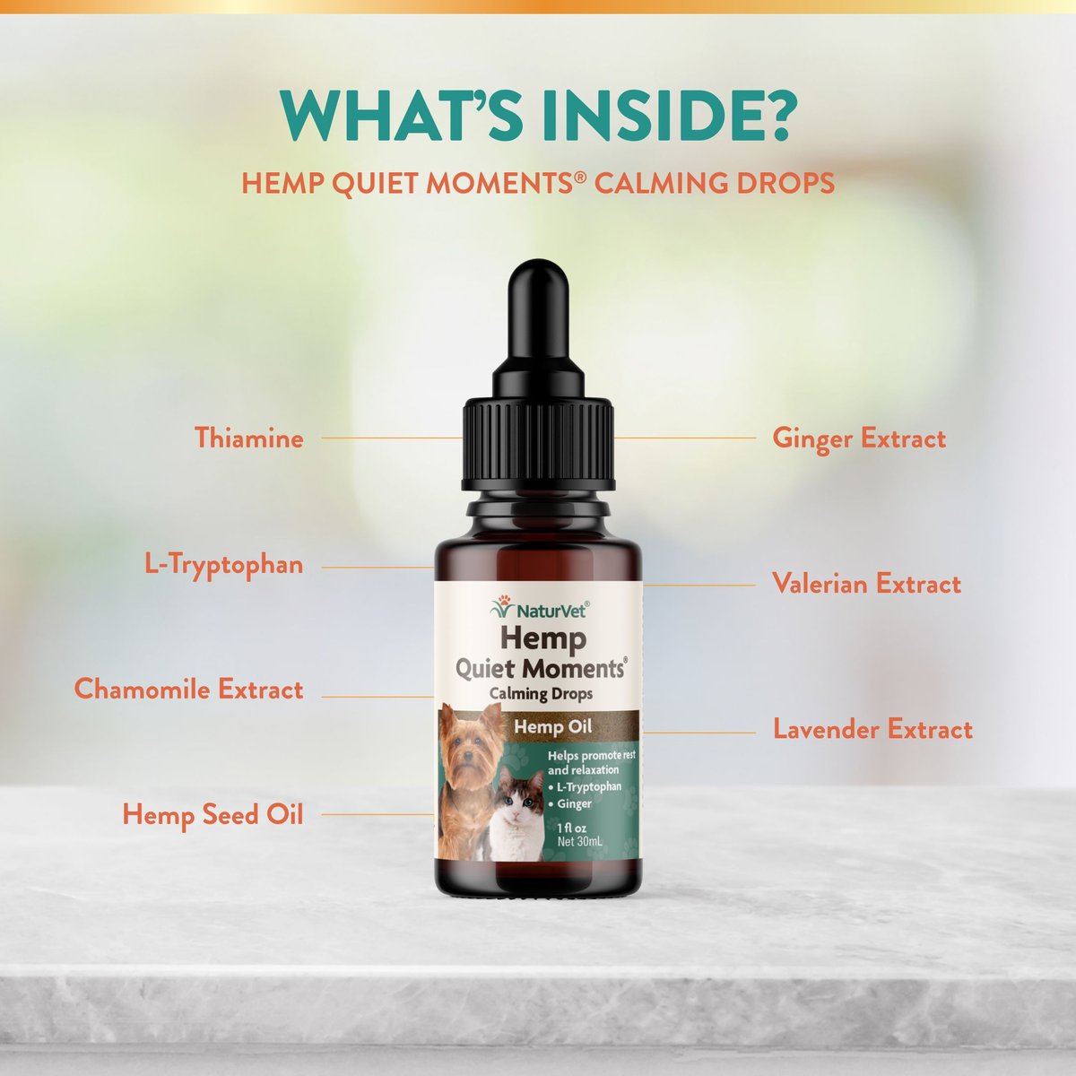 NaturVet Hemp Quiet Moments Liquid Calming Supplement for Cats and Dogs