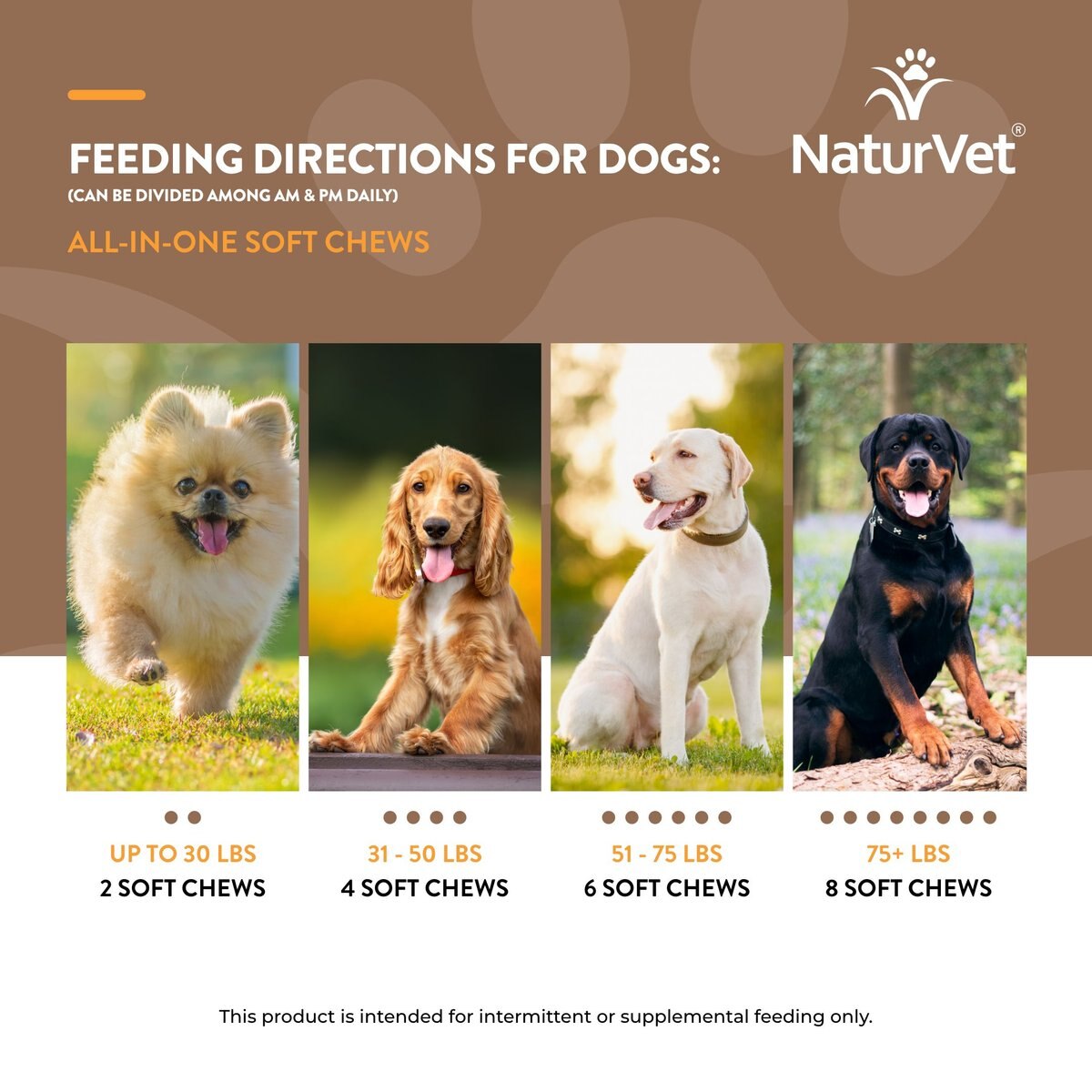 NaturVet All-in-One Soft Chews Multivitamin for Dogs