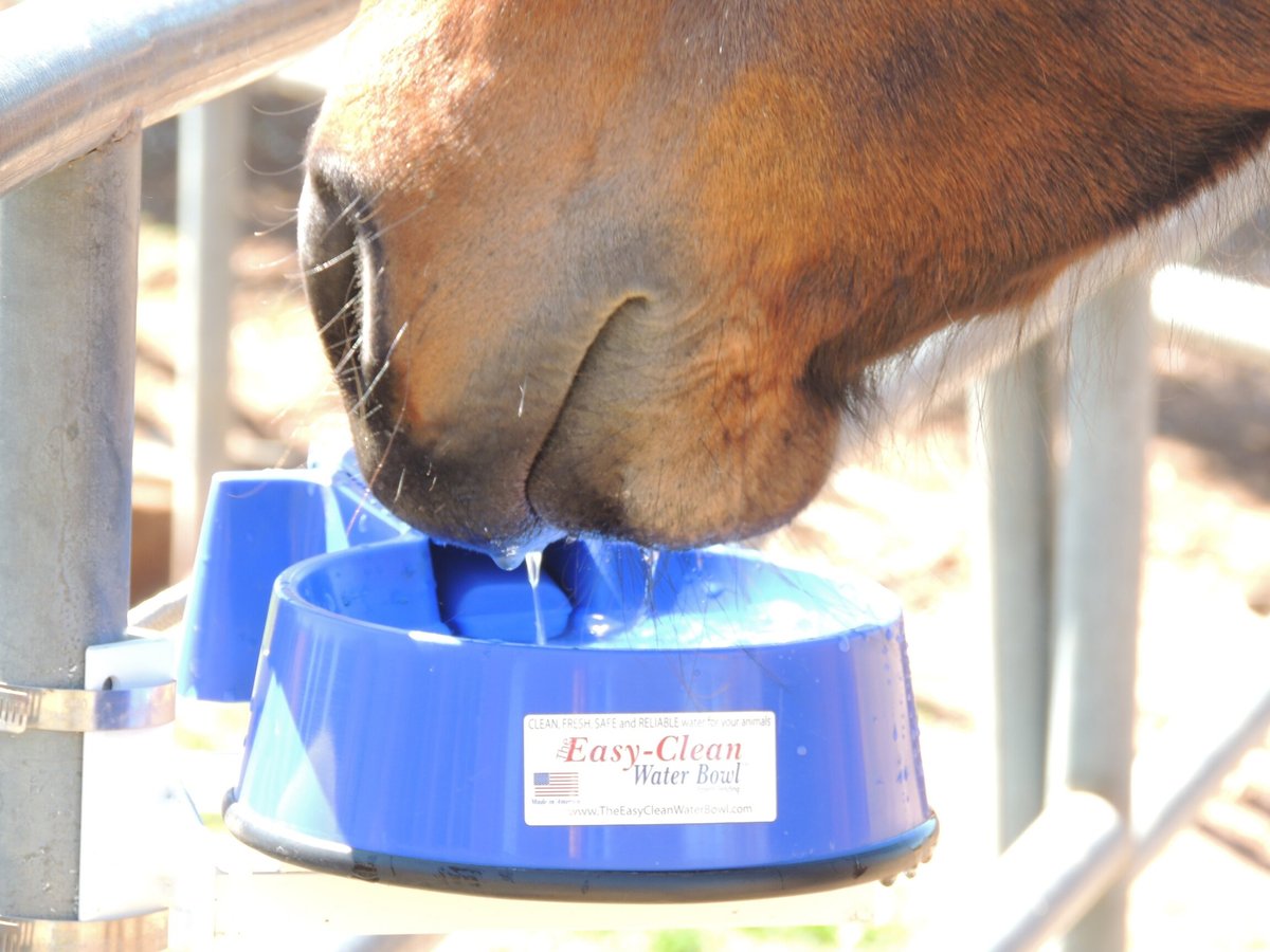 The Easy-Clean Water Bowl Dog， Cat and Livestock Auto-Fill Water Bowl with Hose