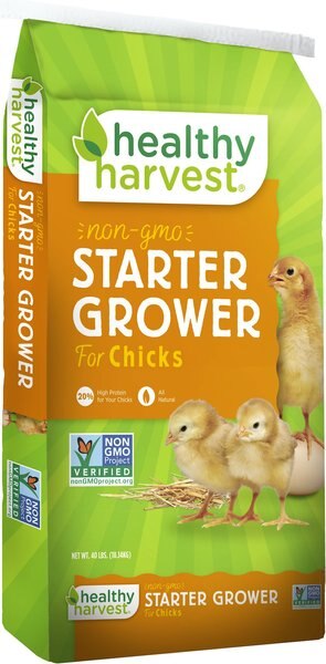 Healthy Harvest Non-GMO 20% Protein Chick Starter Grower Crumbles Chicken Feed