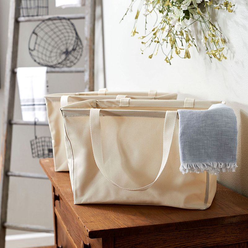 Household Essentials 2-pack Mini Krush Tote Bags