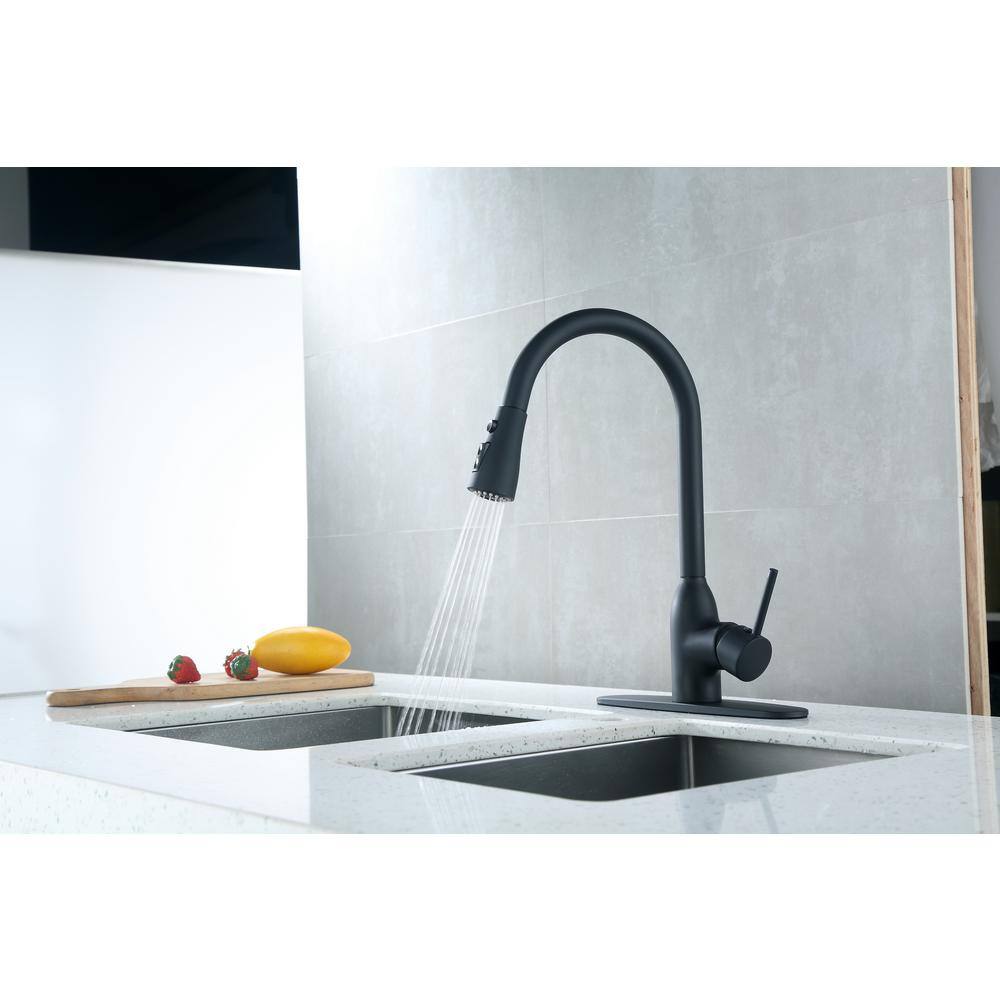 Runfine Single-Handle Pull-Down Sprayer Kitchen Faucet in Matte Black RFF10E-BLK