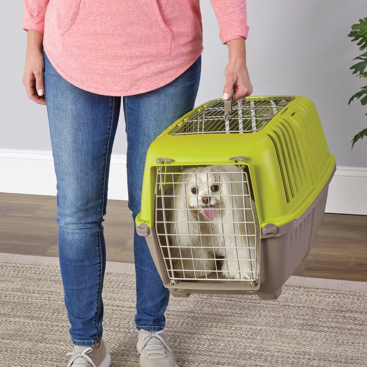 MidWest Spree Two-Door Dog Carrier