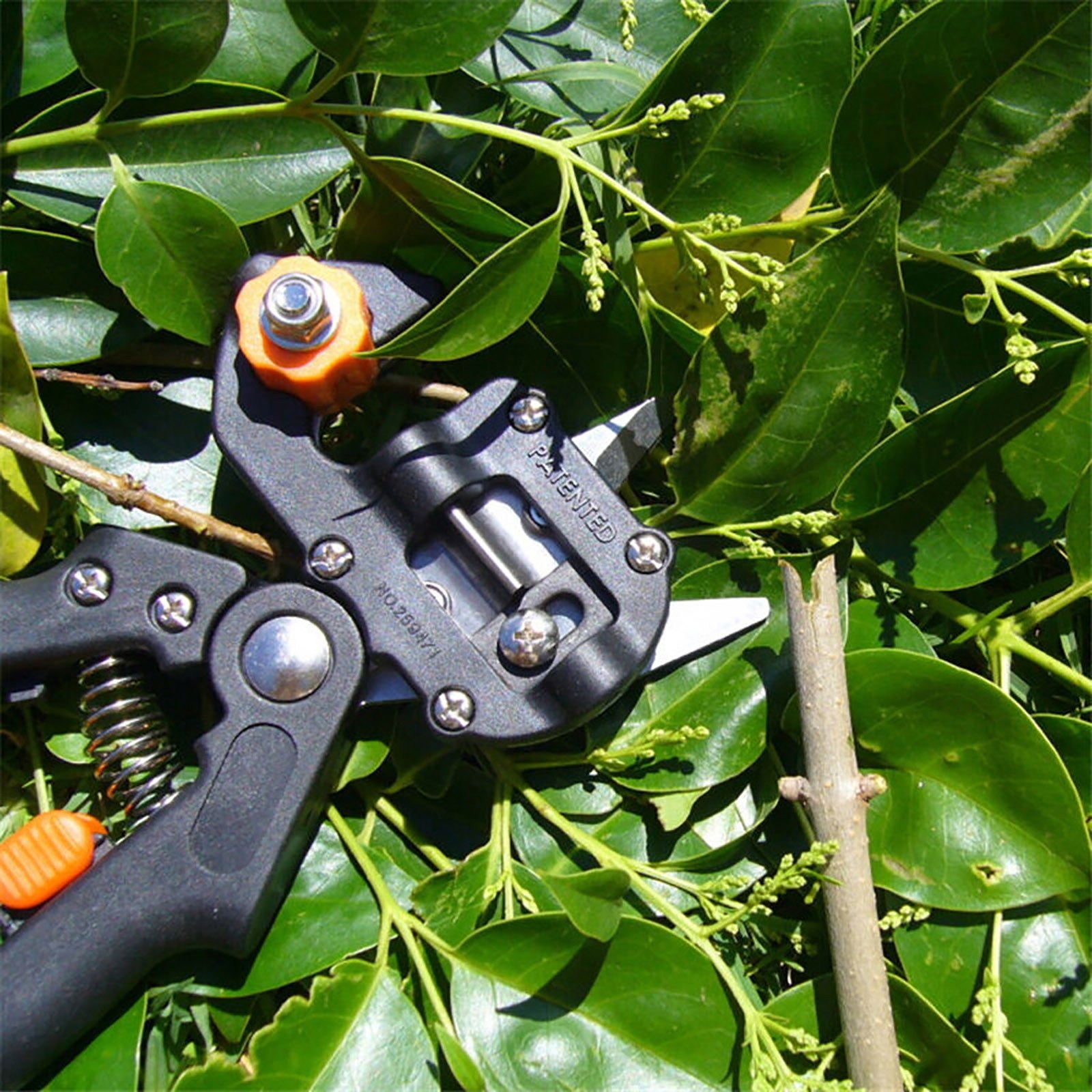 Garden Nursery Fruit Tree Pruning Shears Scissor Grafting Cutting Tools Sets Garden Field Supplies