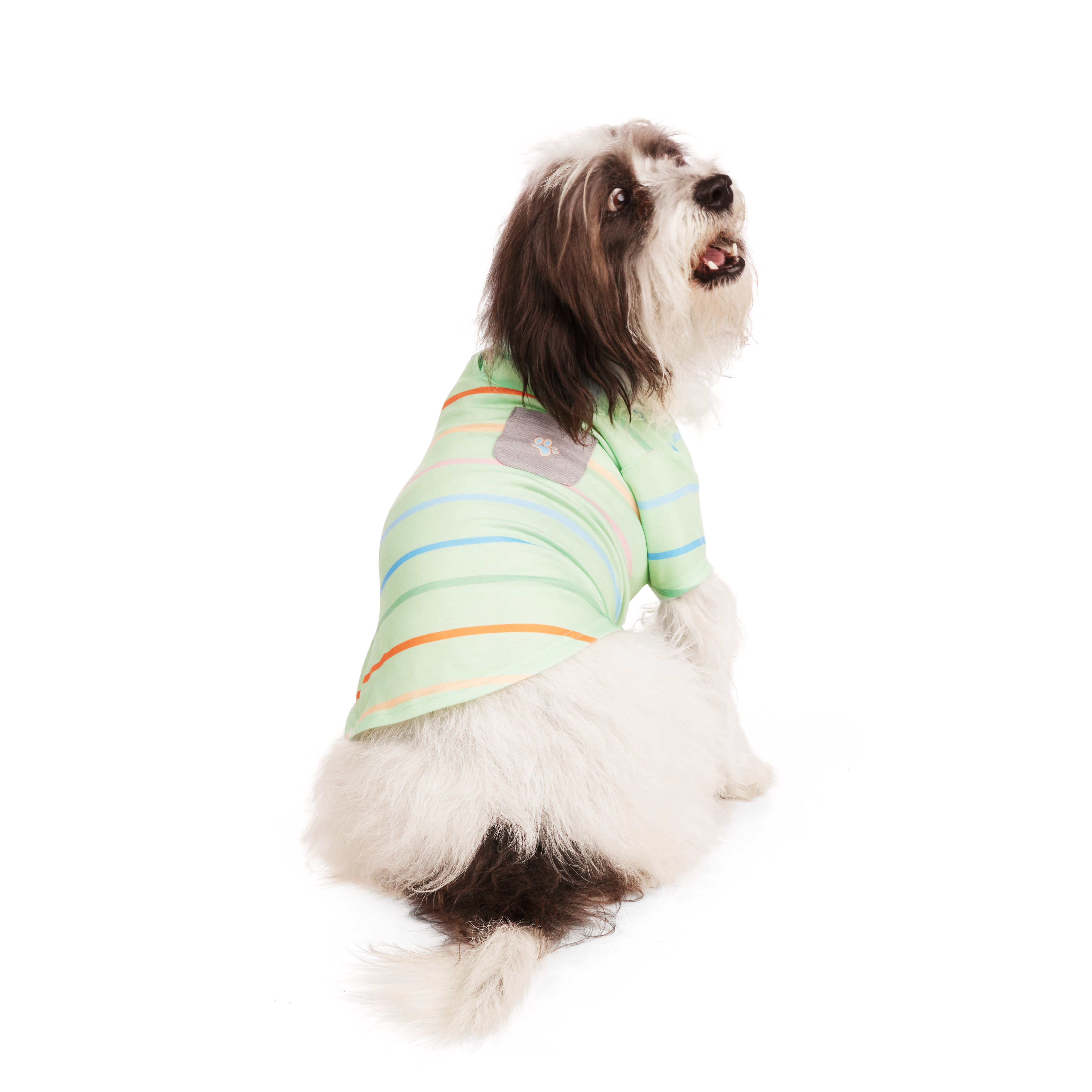 YOULY Green Striped Dog Tee， X-Small