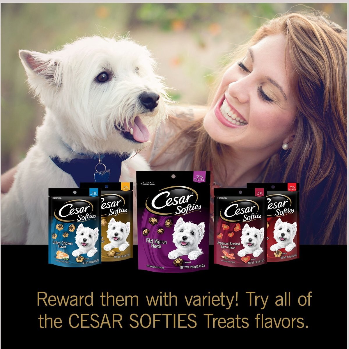 Cesar Softies Filet Mignon Dog Treats