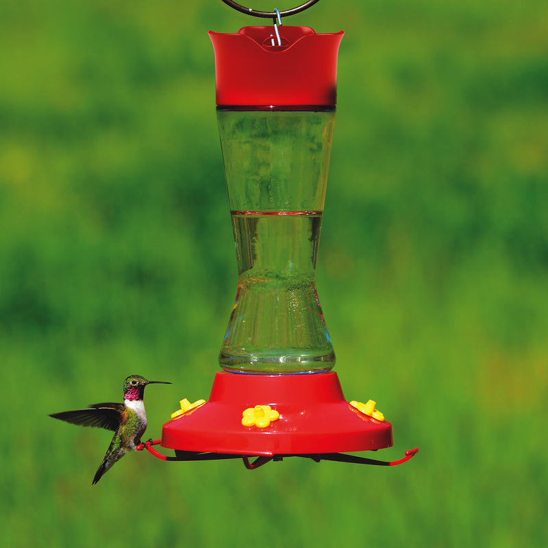 FEEDER HUMINBIRD16OZ4STA