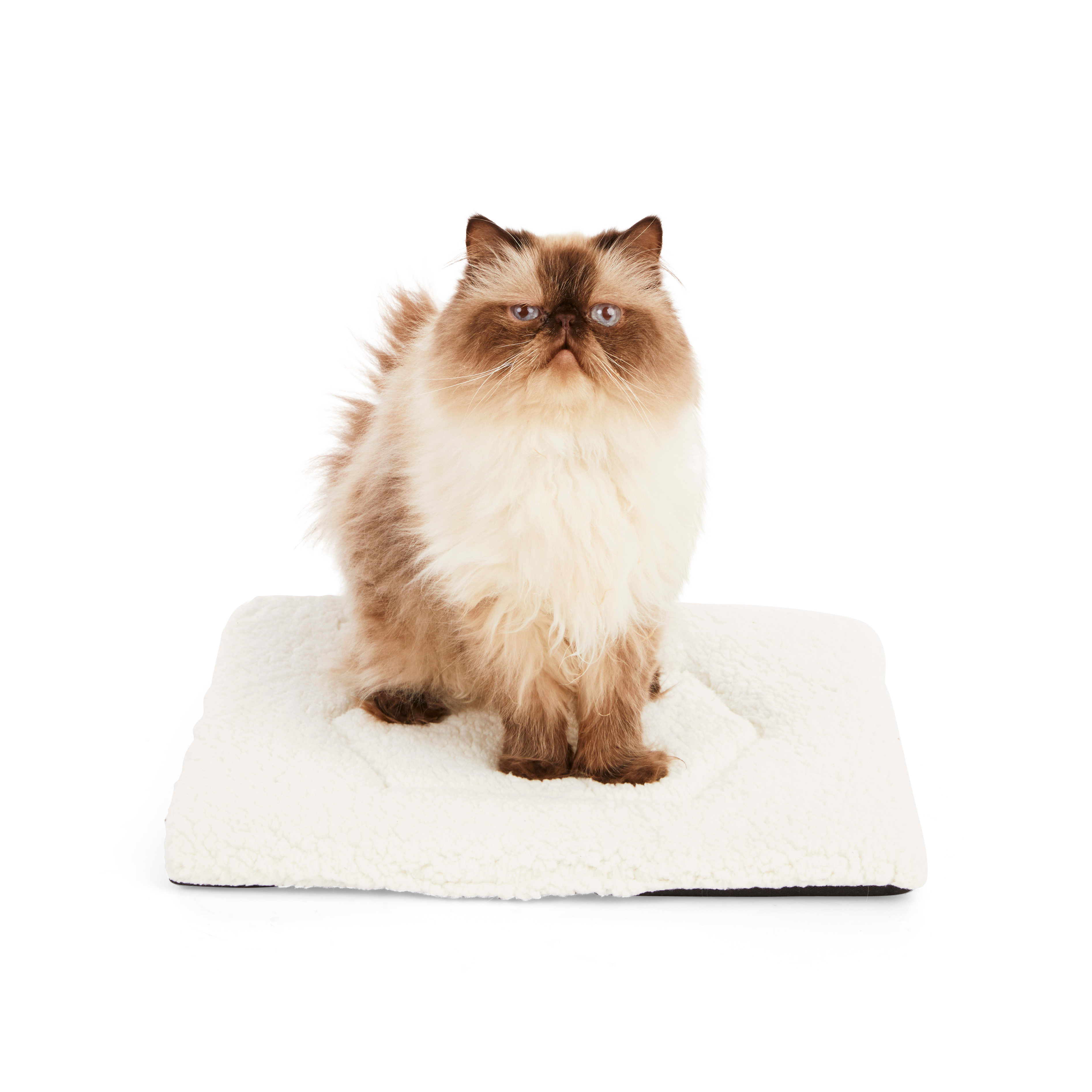 EveryYay Cream Snooze Fest Cozy Cat Mat， 18