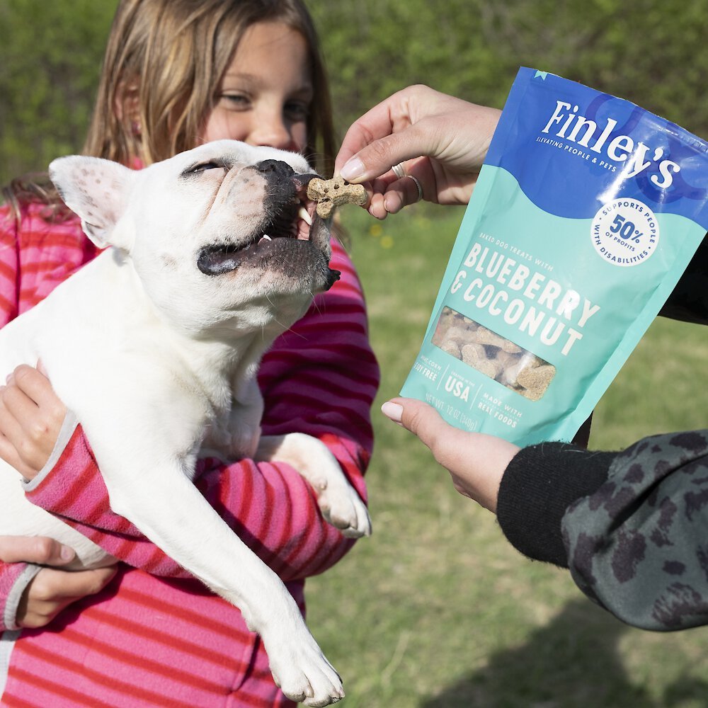 Finley's Barkery Wheat-Free Blueberry and Coconut Crunchy Biscuit Dog Treats