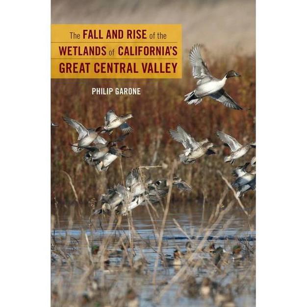 The Fall And Rise Of The Wetlands Of California x27 s Great Central Valley By Philip Garone