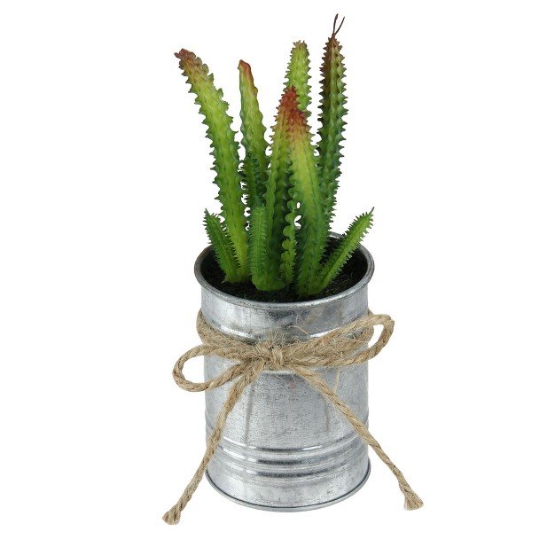 Ombre Cactus Artificial Potted Plant Green silver