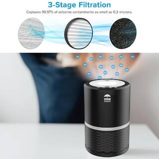 WBM SMART Air Purifier HD-AR-04