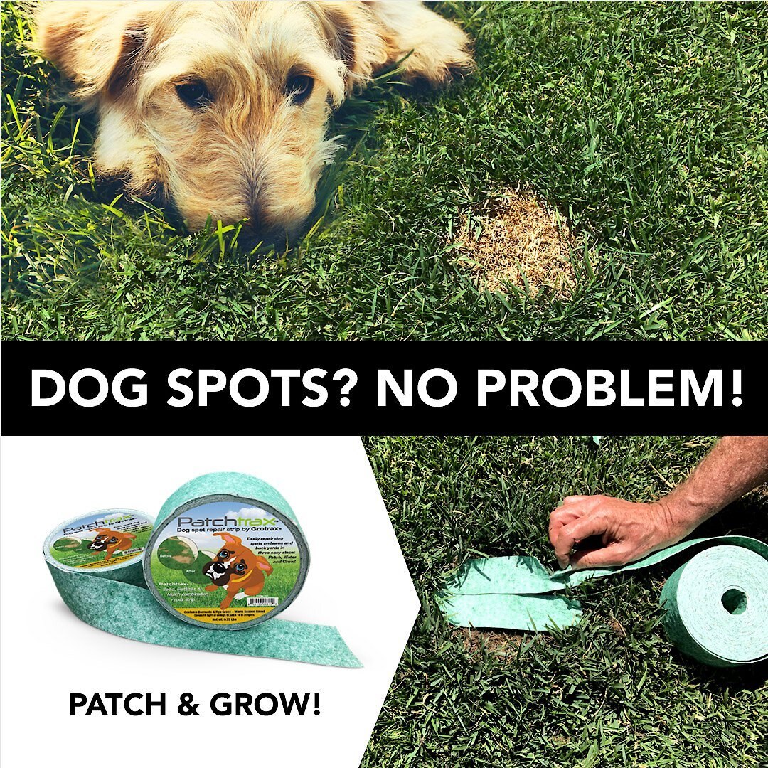 Patchtrax Cold Season Blend Dog Spot Repair Strip