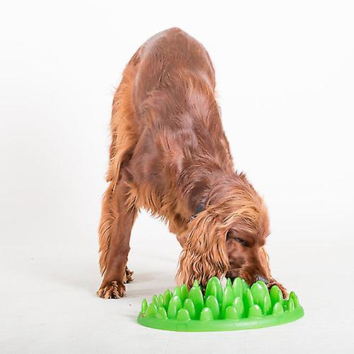 Company of Animals Catch Interactive Cat and Dog Feeder