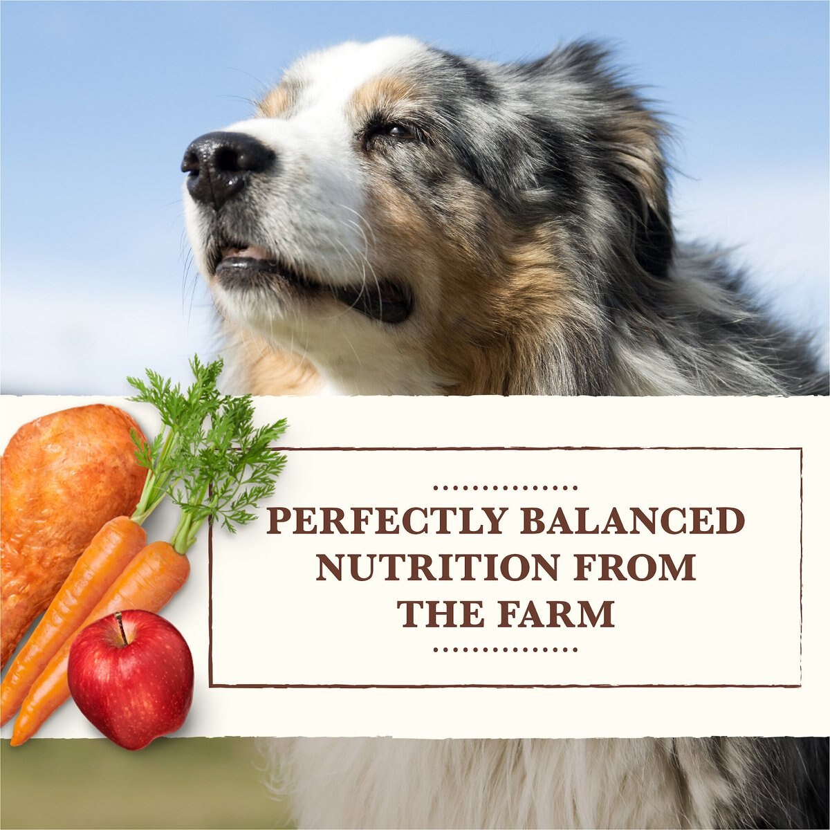 Whole Earth Farms Grain-Free Red Meat Recipe Canned Dog Food