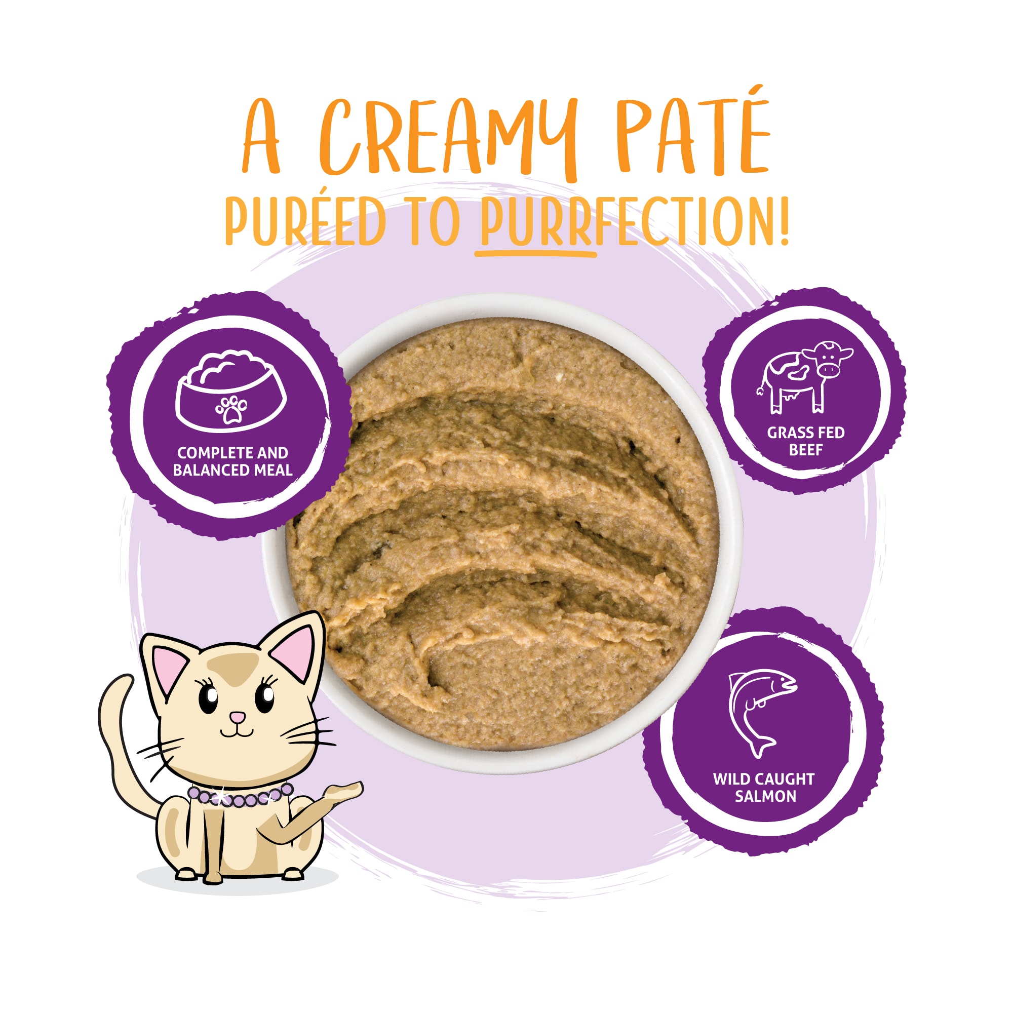 Weruva Pate The Newly Feds Beef  Salmon Dinner in a Hydrating Puree Wet Cat Food， 5.5 oz.， Case of 12