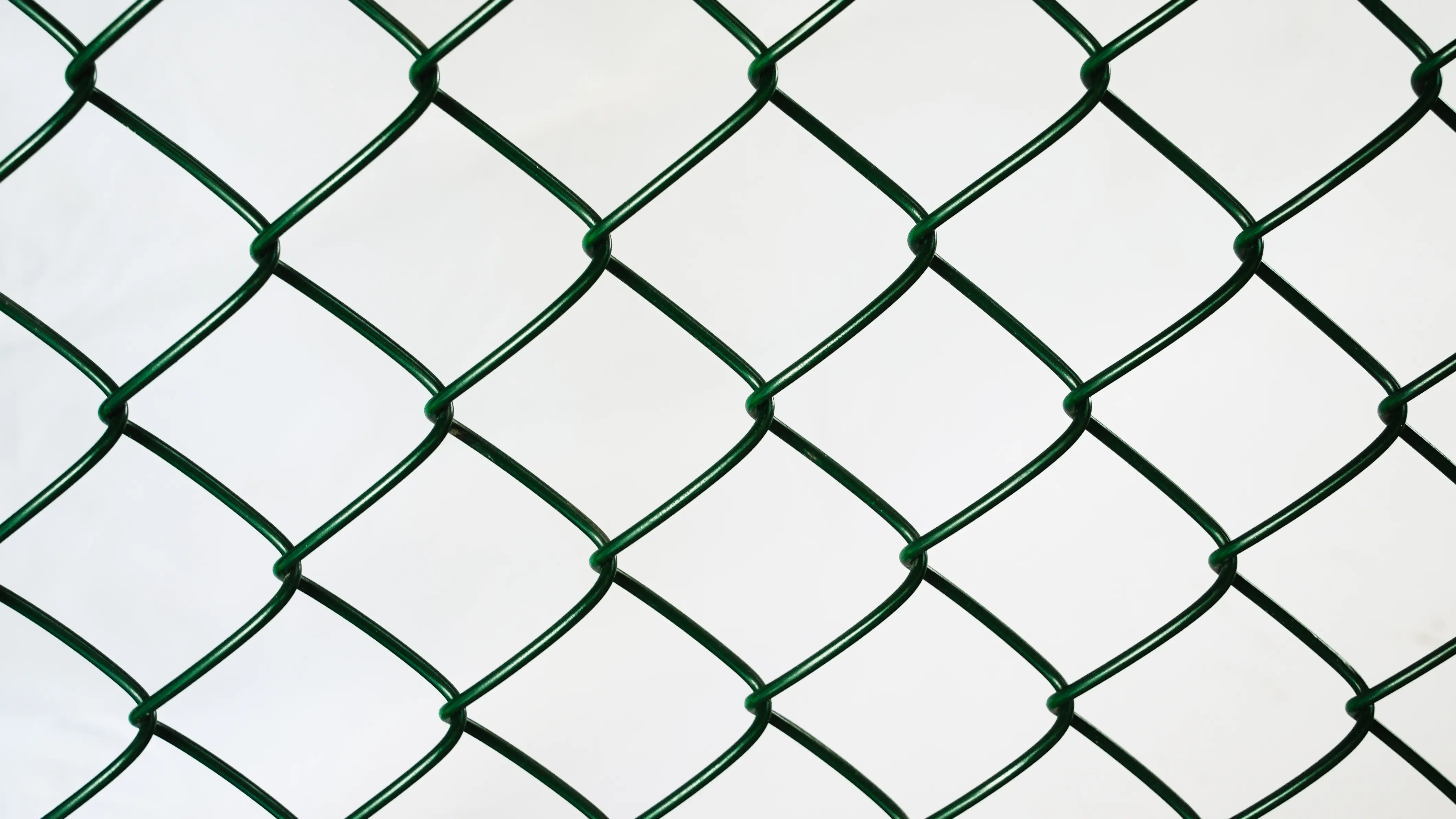 galvanized welded wire mesh for garden fence