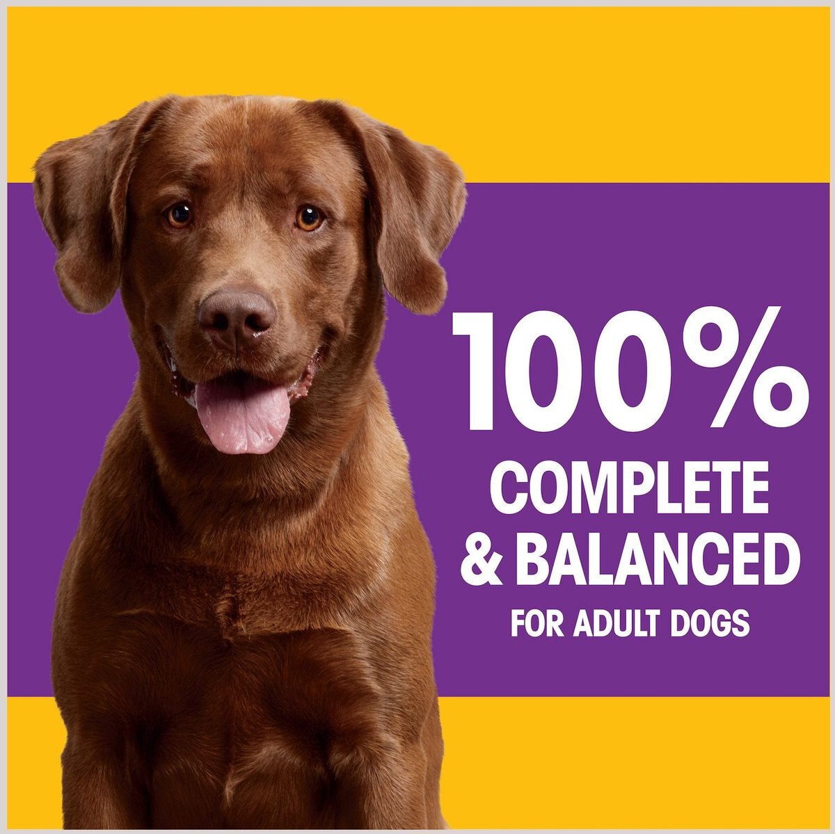 Pedigree Tender Bites Complete Nutrition Chicken and Steak Flavor Small Breed Dry Dog Food， 30-lb bag