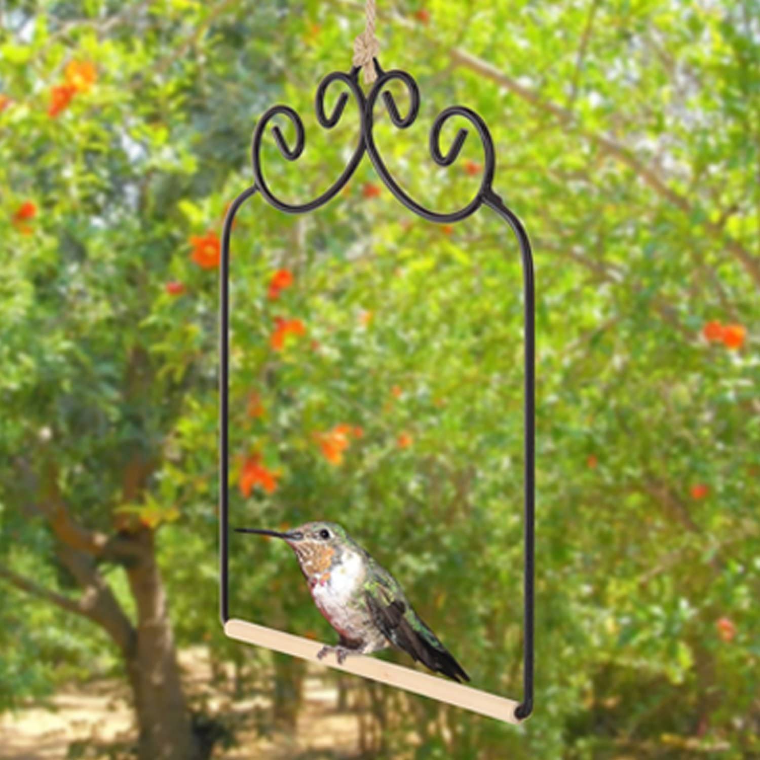 Kreigaven 2PCS Hummingbird Swing Metal Frame Hummingbird Swing Bird Feeder Accessory and Black Iron S Shaped Hook for Hanging Indoor Office Outdoor Bird Feeder