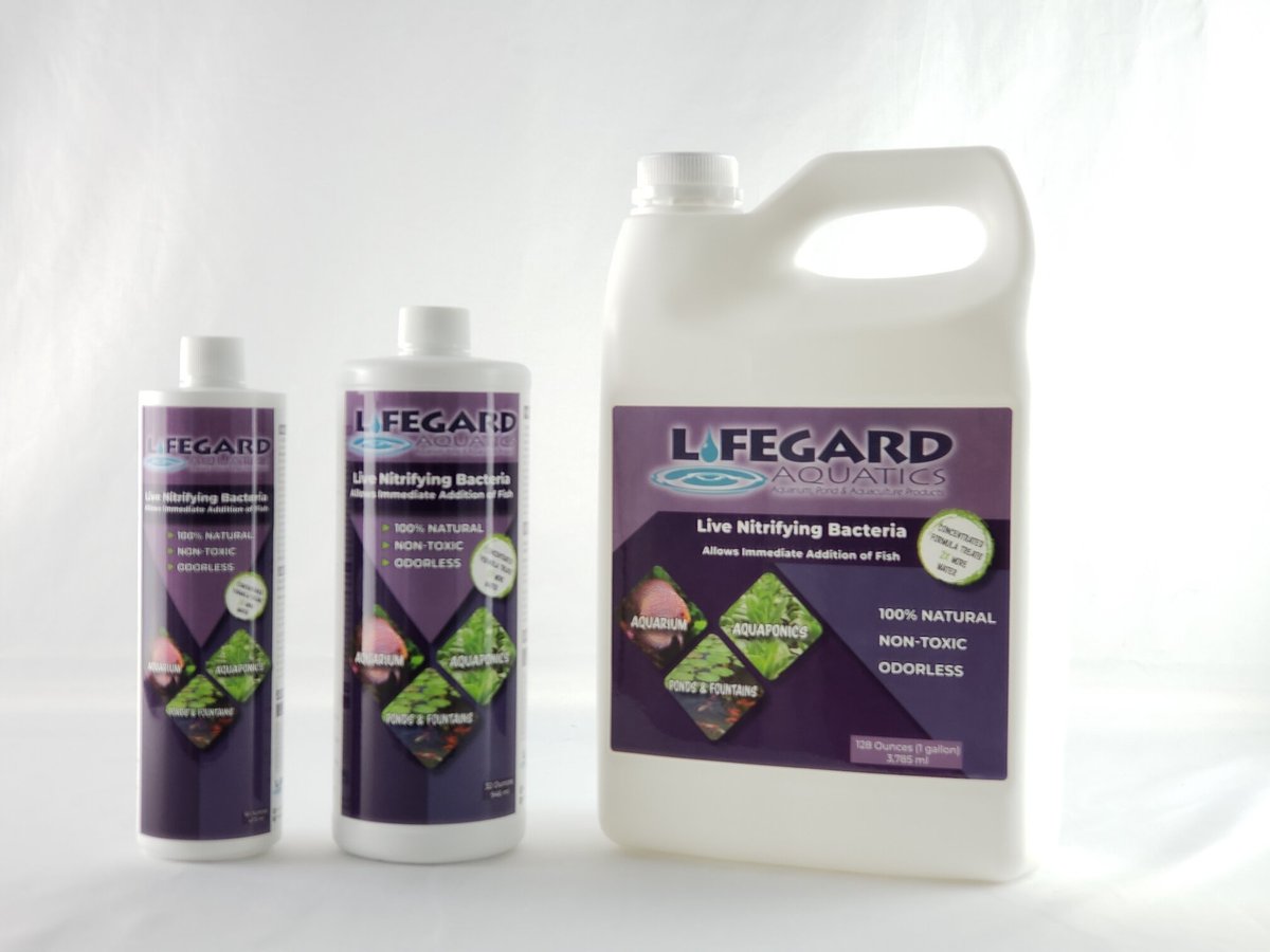 Lifegard Aquatics Live Nitrifying Fish Pond Bacteria