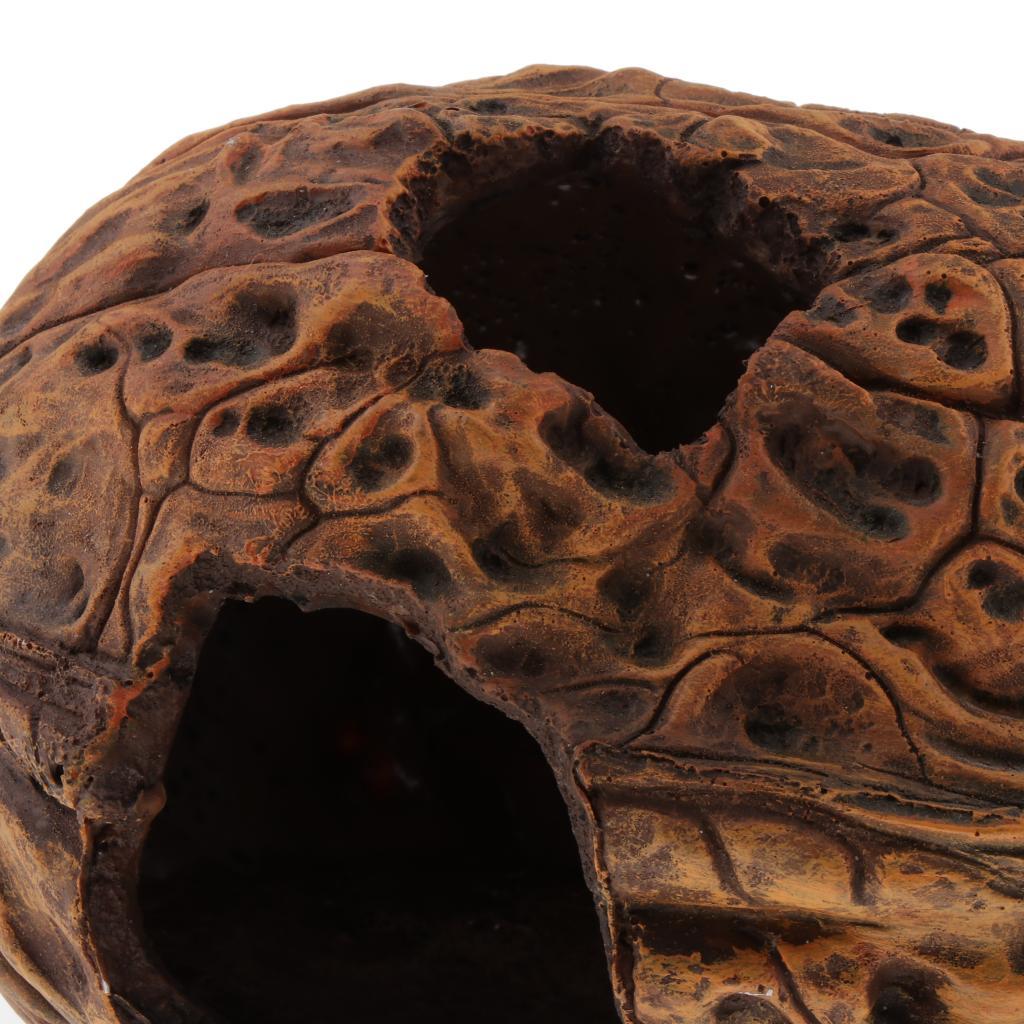 Reptile Walnut Shell Hide Cave， Habitat， Premium and Non - Resin