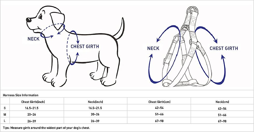 Blueberry Pet Essentials Spring Scent Inspired Garden Floral Step-in Dog Harness