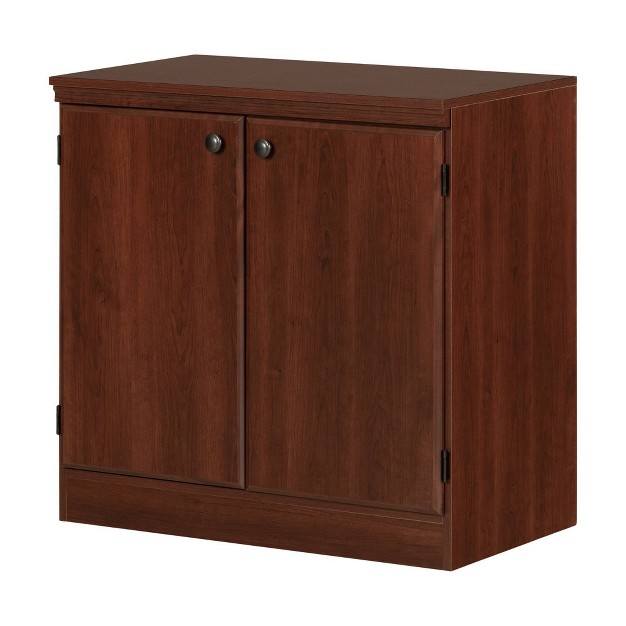 2 Door Morgan Storage Cabinet South Shore