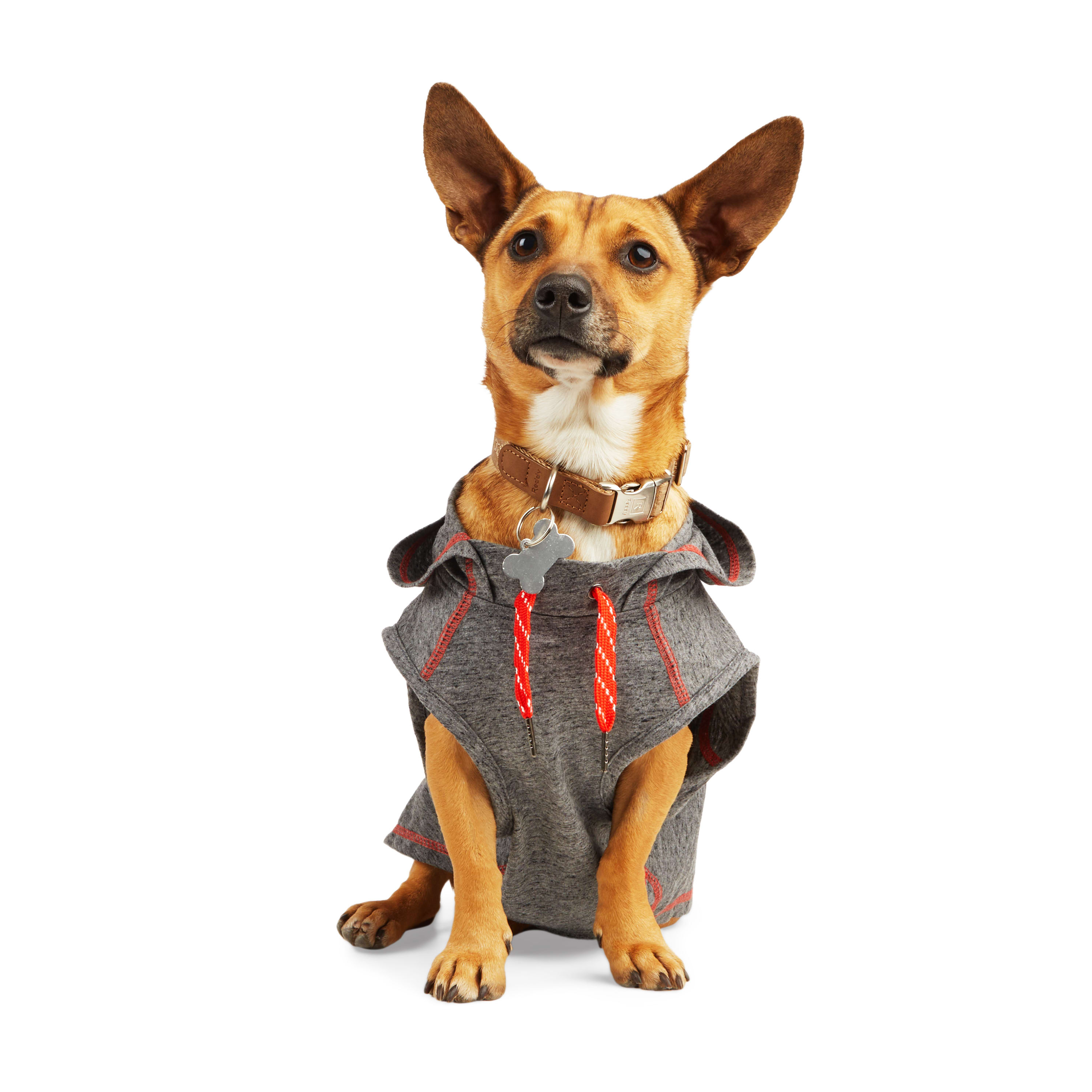 Reddy Black Hooded Tank for Dogs， X-Small