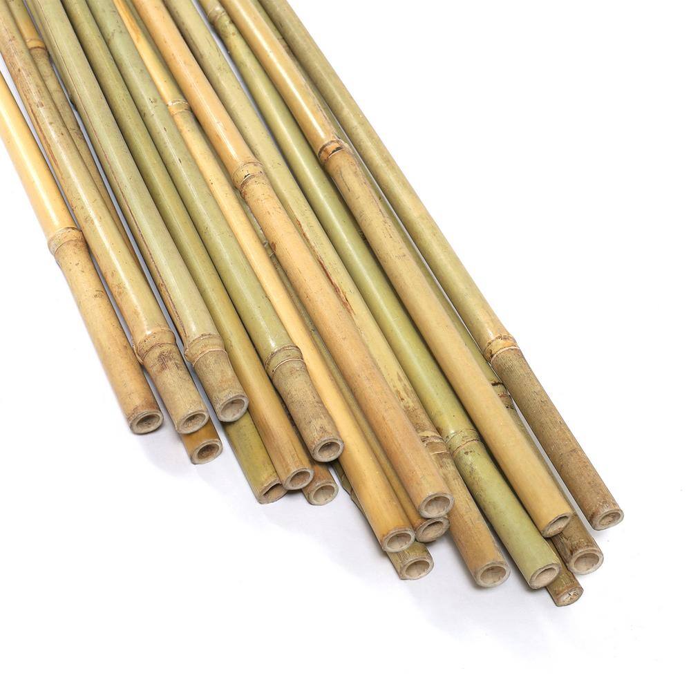 Ecostake 4 ft. x 12 in. Natural Bamboo Eco-Friendly Garden Plant Stakes for Climbing Support (200-Pack) BBC412N200