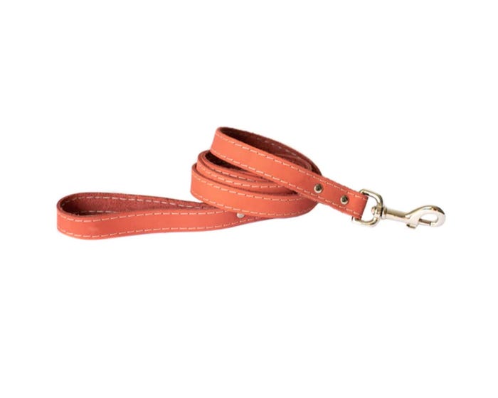 Euro Dog Soft Leather Dog Leash， Pink - LC