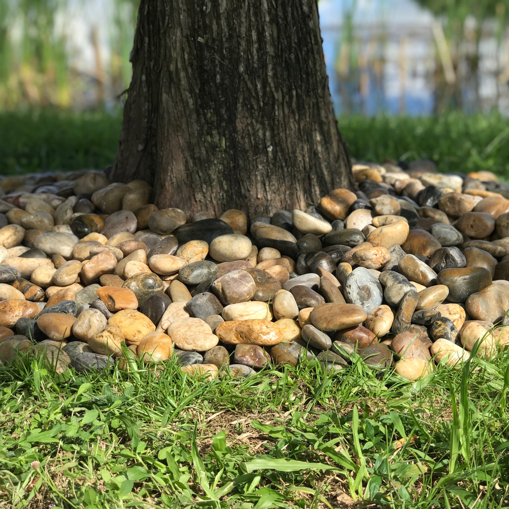 Rainforest, Outdoor Decorative Stone, Polished Pebbles, Mixed, 1-2", 900lbs.