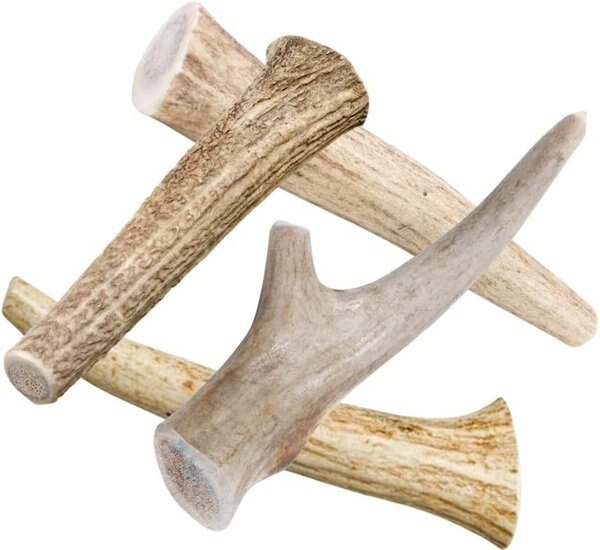 HOTSPOT PETS 6-9-inch All Natural Medium Whole Deer Antler Chews Dog Treats