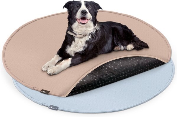 Paw Inspired Round Washable Dog Pee Pads， 2 count