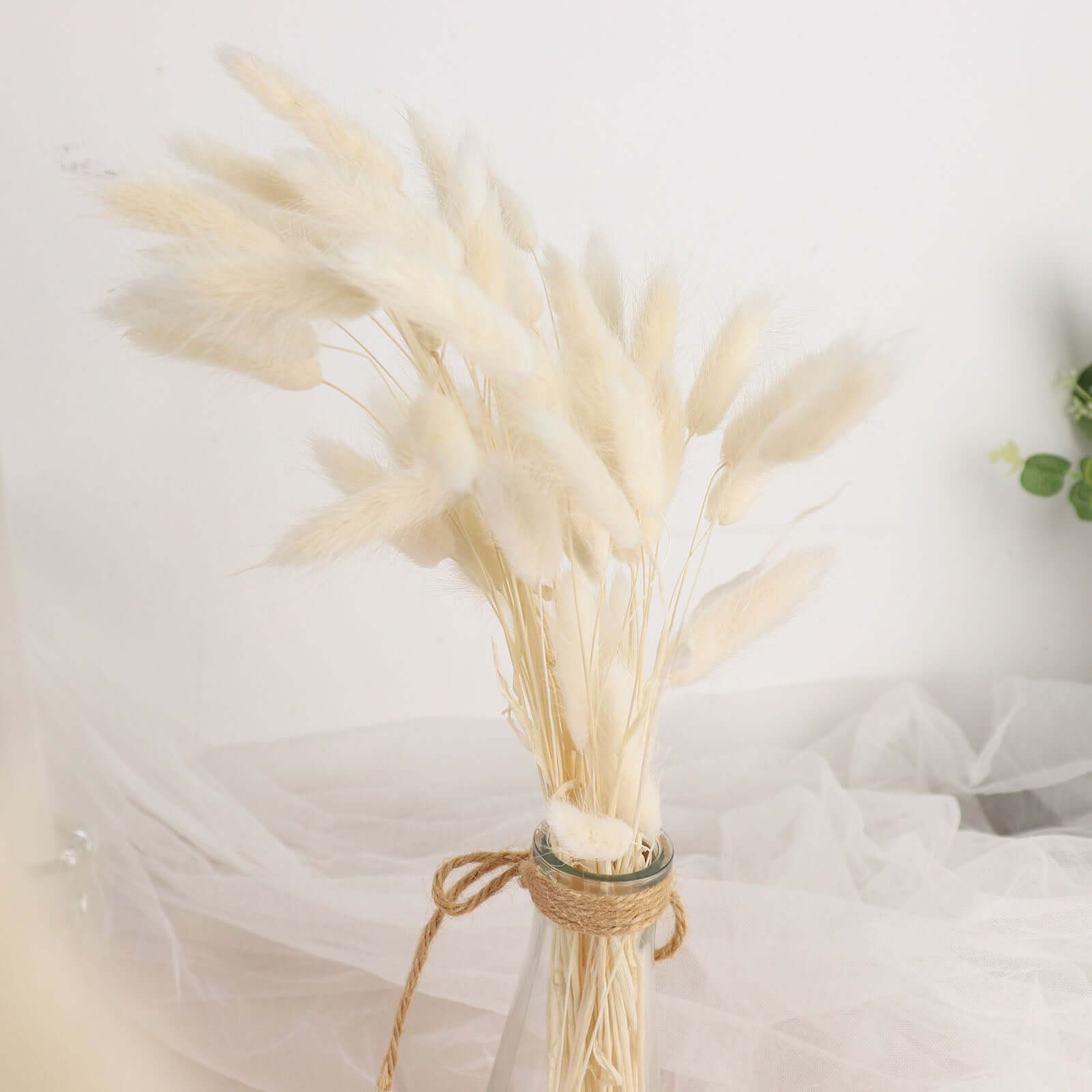 50 Pack Natural White Rabbit Tail Dried Pampas Grass Flower Bouquets, Boho Stem Arrangements 15