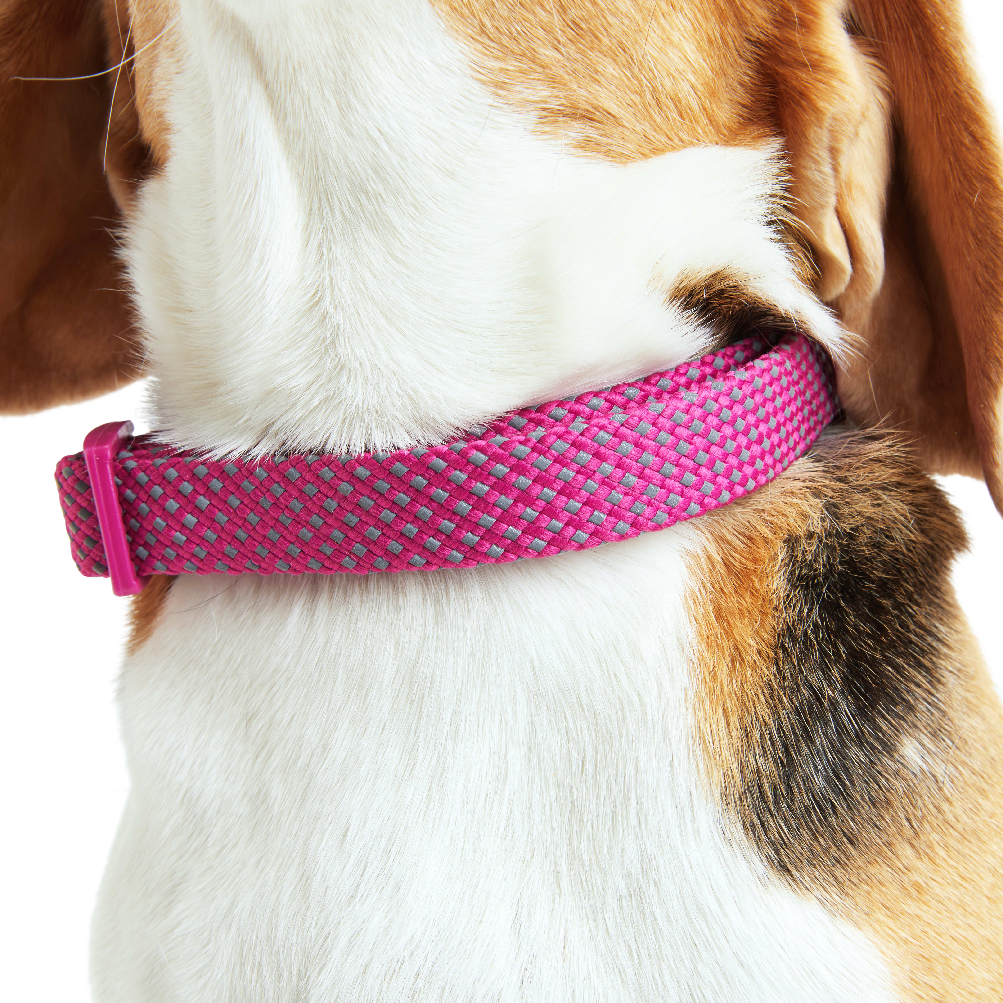 YOULY Pink Reflective Dog Collar， Small