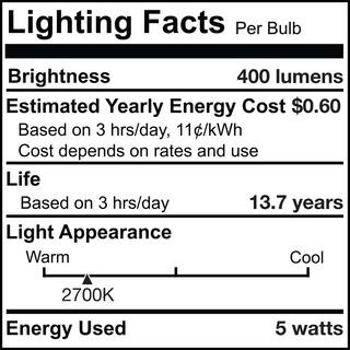 Bulbrite 40-Watt Equivalent T9 Clear Dimmable Edison LED Light Bulb Warm White (2-Pack) 861575