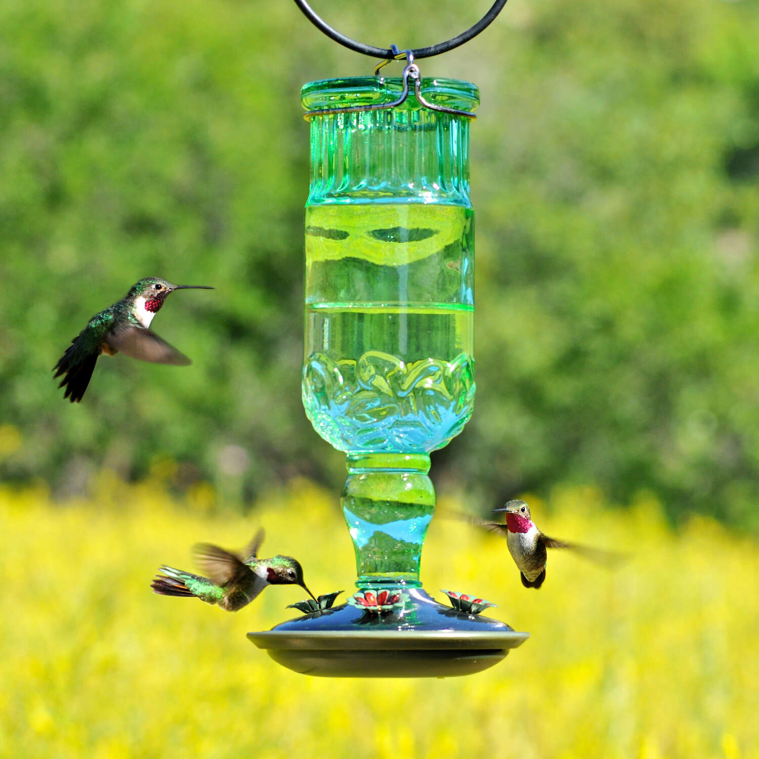 Perky-Pet Hummingbird 24 oz Glass/Metal Nectar Feeder 4 ports