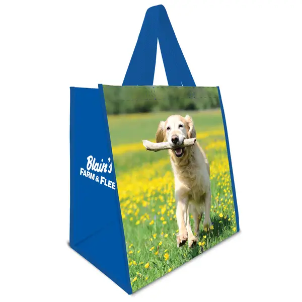 Blain's Farm and Fleet Reusable Bag