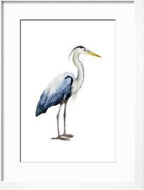 Seabird Heron II， Animals Framed Art Print Wall Art by Grace Popp Sold by Art.Com