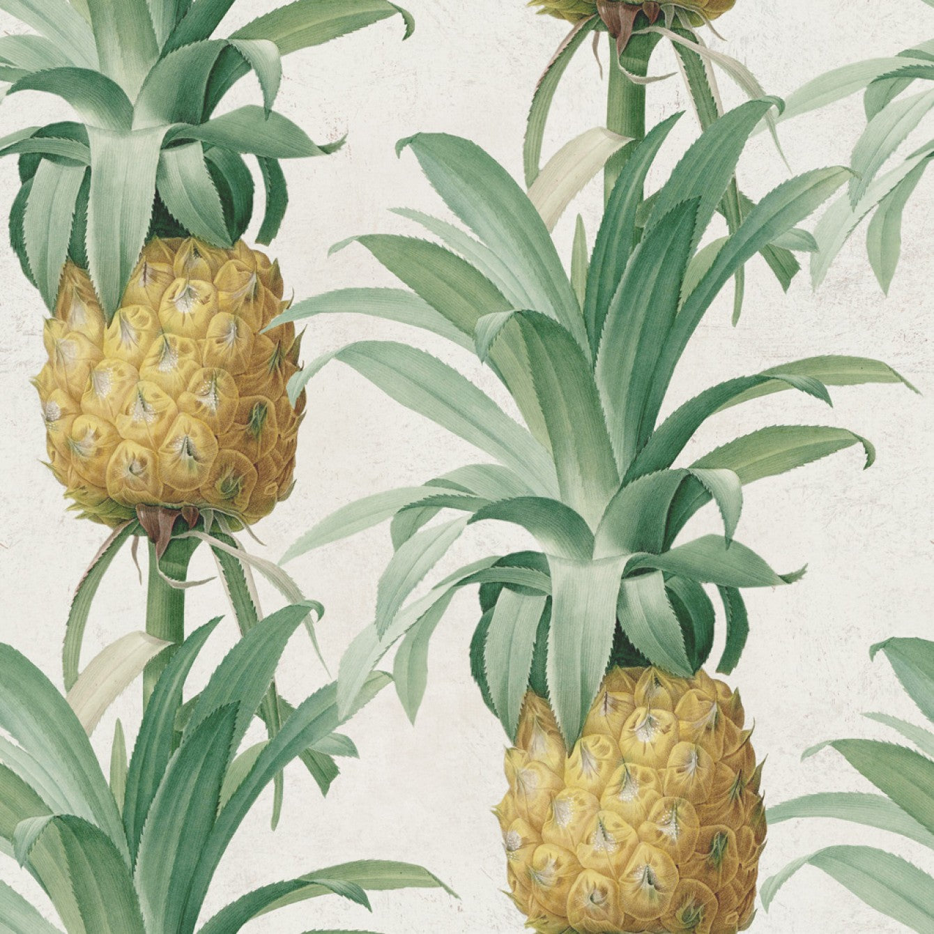 Sample Ananas Wallpaper in Green and Yellow from the Tropical Vibes Collection by Mind the Gap